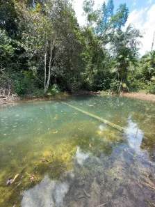 Fazenda/Sítio com 3 Quartos à venda, 180m² no , Rio Preto da Eva