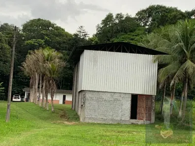 Lote/Terreno à venda, 341000m² no Lago Azul, Manaus