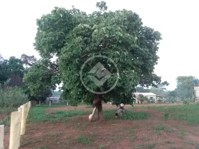 Fazenda/Sítio à venda, 2000m² no , Hidrolândia