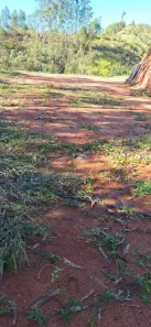 Lote/Terreno à venda, 10000m² no , Santa Teresa