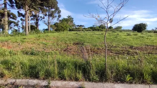 Lote/Terreno à venda, 485m² no Tuiuti, Bento Gonçalves