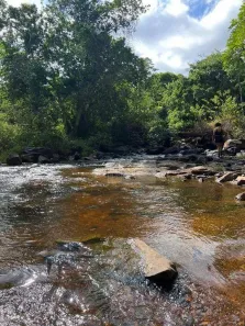 Fazenda/Sítio com 18 Quartos à venda, 6700m² no Setor Novo Oeste, Tucuruí