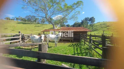 Fazenda/Sítio à venda, 200000m² no São Gonçalo, Taubaté