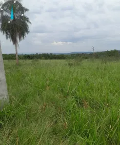 Fazenda/Sítio com 1 Quarto à venda, 360m² no , Aquidauana