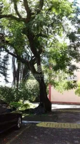 Apartamento com 2 Quartos à venda, 49m² no Taquara, Rio de Janeiro