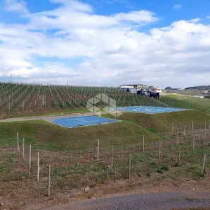 Lote/Terreno à venda, 813m² no Vale dos Vinhedos, Bento Gonçalves