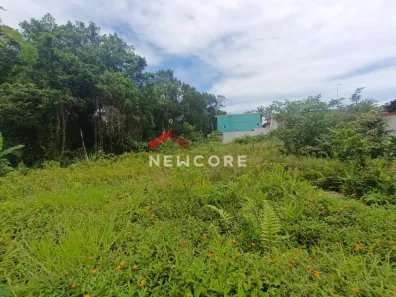 Lote/Terreno à venda, 652m² no Morada da Praia, Bertioga