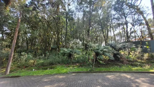 Lote/Terreno à venda, 745m² no , Canela