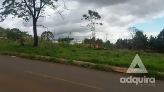 Lote/Terreno à venda, 11481m² no Cará-cará, Ponta Grossa