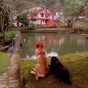 Fazenda/Sítio com 12 Quartos à venda, 5313m² no Barreira, Guapimirim