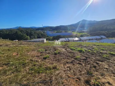Lote/Terreno à venda, 346m² no São Pedro, Guabiruba