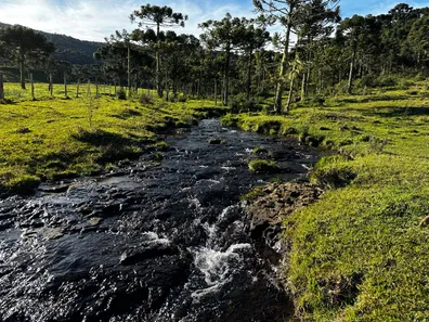 Fazenda/Sítio à venda, 360000m² no , Urubici