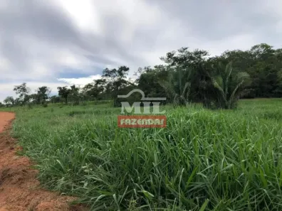Fazenda/Sítio à venda, 500m² no Setor Aeroporto, Gurupi