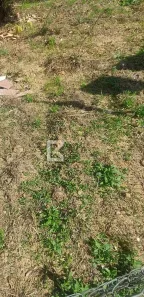 Lote/Terreno para alugar, 250m² no Jardim Paulista I, Indaiatuba
