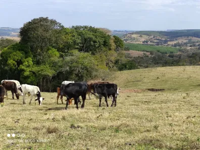 Fazenda/Sítio com 2 Quartos à venda, 50m² no , Angatuba
