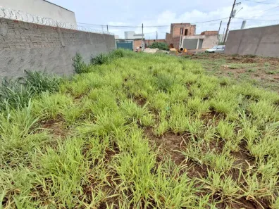 Lote/Terreno à venda, 168m² no Jardim Regatas, Ribeirão Preto