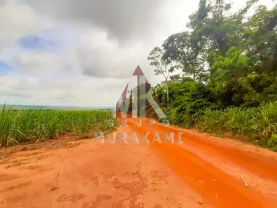 Fazenda/Sítio com 1 Quarto à venda, 200m² no , Marechal Cândido Rondon