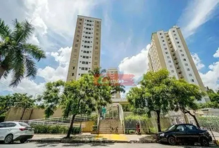 Apartamento com 2 Quartos à venda, 50m² no Vila Moreira, São Paulo