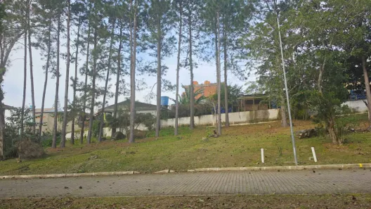 Lote/Terreno à venda, 460m² no Ratones, Florianópolis
