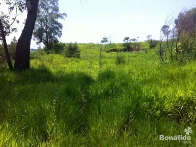 Lote/Terreno à venda, 9935m² no Capela, Vinhedo