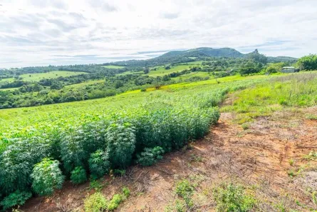 Lote/Terreno à venda, 5000m² no Neópolis, Gravataí