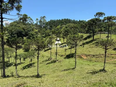 Fazenda/Sítio com 1 Quarto à venda, 83519m² no Rio Vermelho Povoado, São Bento do Sul