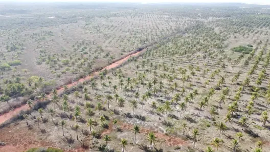 Fazenda/Sítio com 3 Quartos à venda, 2790000m² no , Rio do Fogo