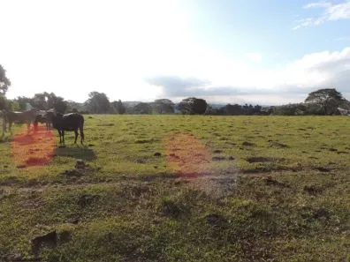 Lote/Terreno à venda, 44596m² no Unileste, Piracicaba