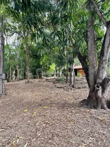 Fazenda/Sítio com 4 Quartos à venda, 10m² no Beira Rio, Teresina