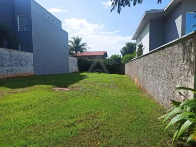 Lote/Terreno à venda, 400m² no Vila Hollândia, Campinas
