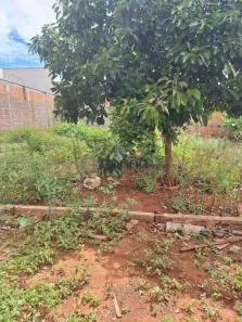 Lote/Terreno à venda, 200m² no Oneida Mendes II, Uberaba