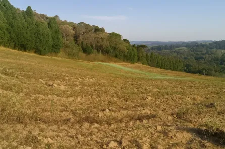 Lote/Terreno à venda, 500m² no Nhambuca ( Caucaia do Alto), Cotia