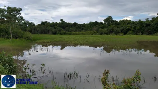 Fazenda/Sítio com 6 Quartos à venda, 141m² no Centro, Porangatu