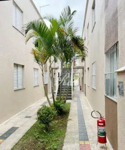 Apartamento com 2 Quartos à venda, 47m² no Jardim Graziela, Suzano