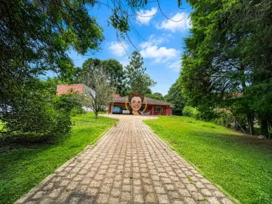 Fazenda/Sítio com 4 Quartos à venda, 2500m² no Palmitalzinho, Quatro Barras