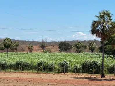 Fazenda/Sítio com 4 Quartos à venda, 17000000m² no Centro, São Félix do Piauí