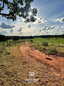 Fazenda/Sítio à venda, 999999999m² no , Mirabela