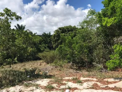 Lote/Terreno à venda, 1000m² no Busca Vida (Abrantes), Camaçari