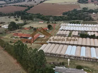 Fazenda/Sítio à venda, 447500m² no Área Rural de Avaré, Avaré