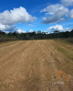 Lote/Terreno à venda, 500m² no Brotas(Caucaia do Alto), Cotia