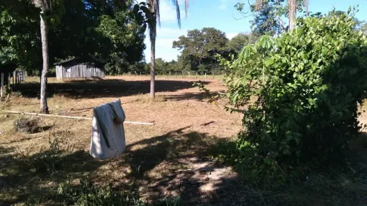 Fazenda/Sítio à venda no , Nortelândia