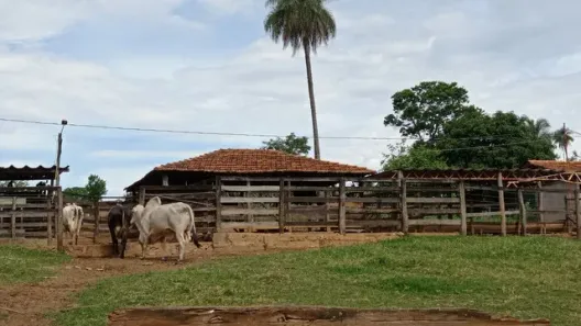Fazenda/Sítio à venda, 280000m² no Setor Bosque, Formosa