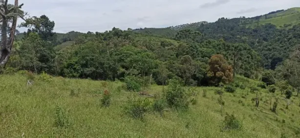 Fazenda/Sítio à venda, 48400m² no Centro, Cunha