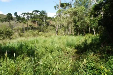 Lote/Terreno à venda, 1626m² no Abernéssia, Campos do Jordão