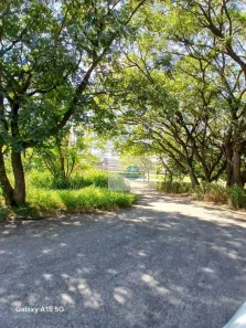 Lote/Terreno à venda, 20000m² no Parque São Domingos, São Paulo