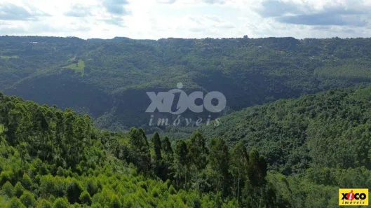 Fazenda/Sítio com 1 Quarto à venda, 5000m² no , Nova Petrópolis
