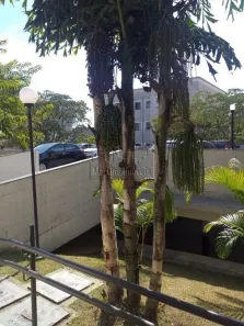 Apartamento com 2 Quartos à venda, 44m² no Colônia (Zona Leste), São Paulo