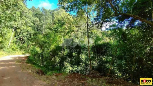 Fazenda/Sítio com 1 Quarto à venda, 5000m² no , Linha Nova