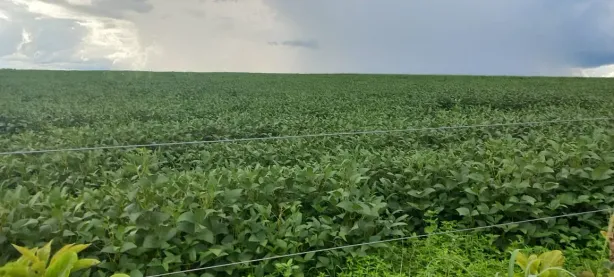 Fazenda/Sítio à venda, 195400m² no Paranoá, Brasília