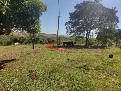 Fazenda/Sítio com 2 Quartos à venda, 150m² no Santa Izabel, Arealva